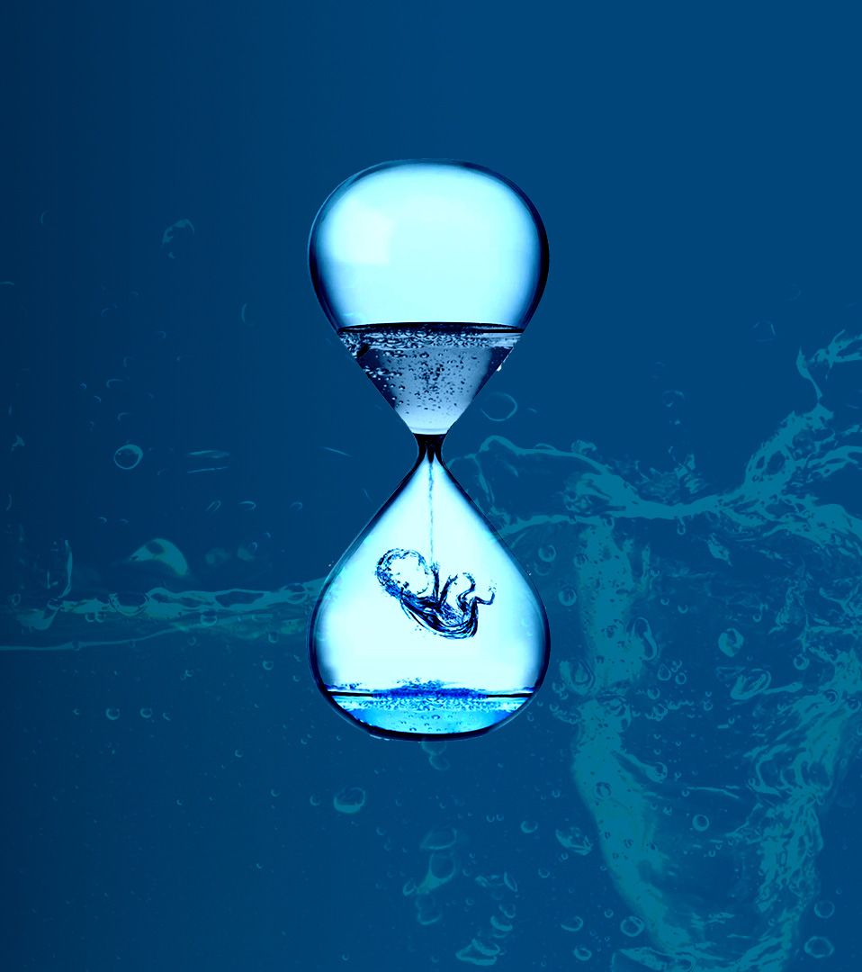 wastewater management consultant
